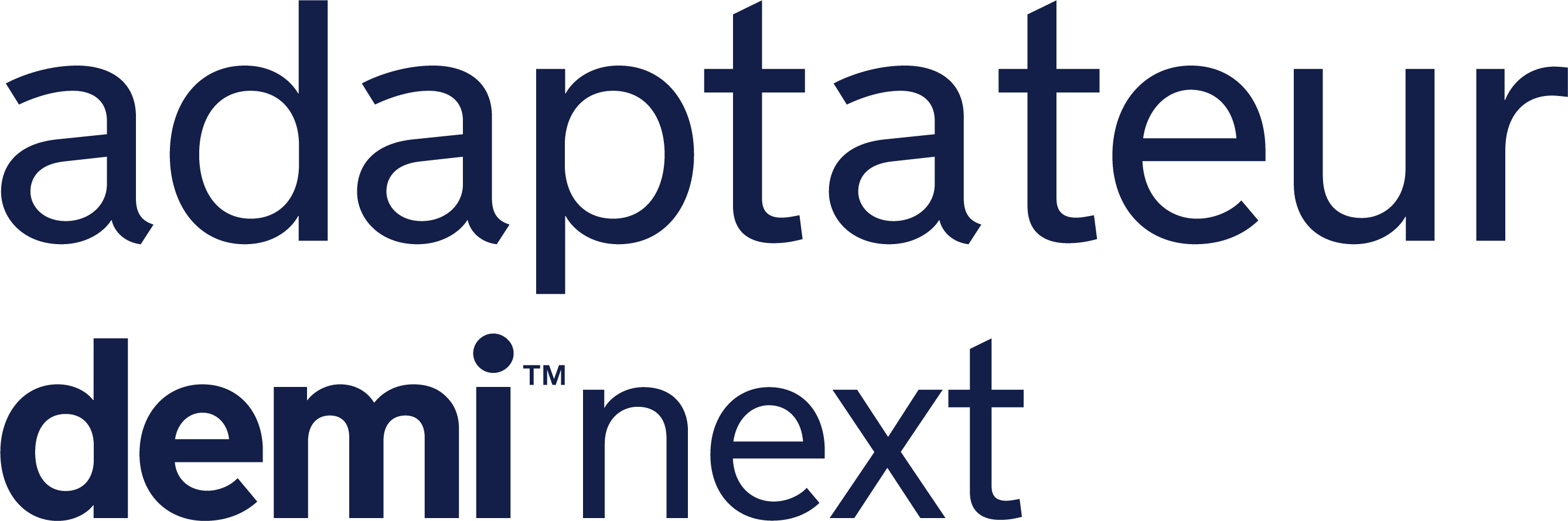 DEMI next adaptor logo