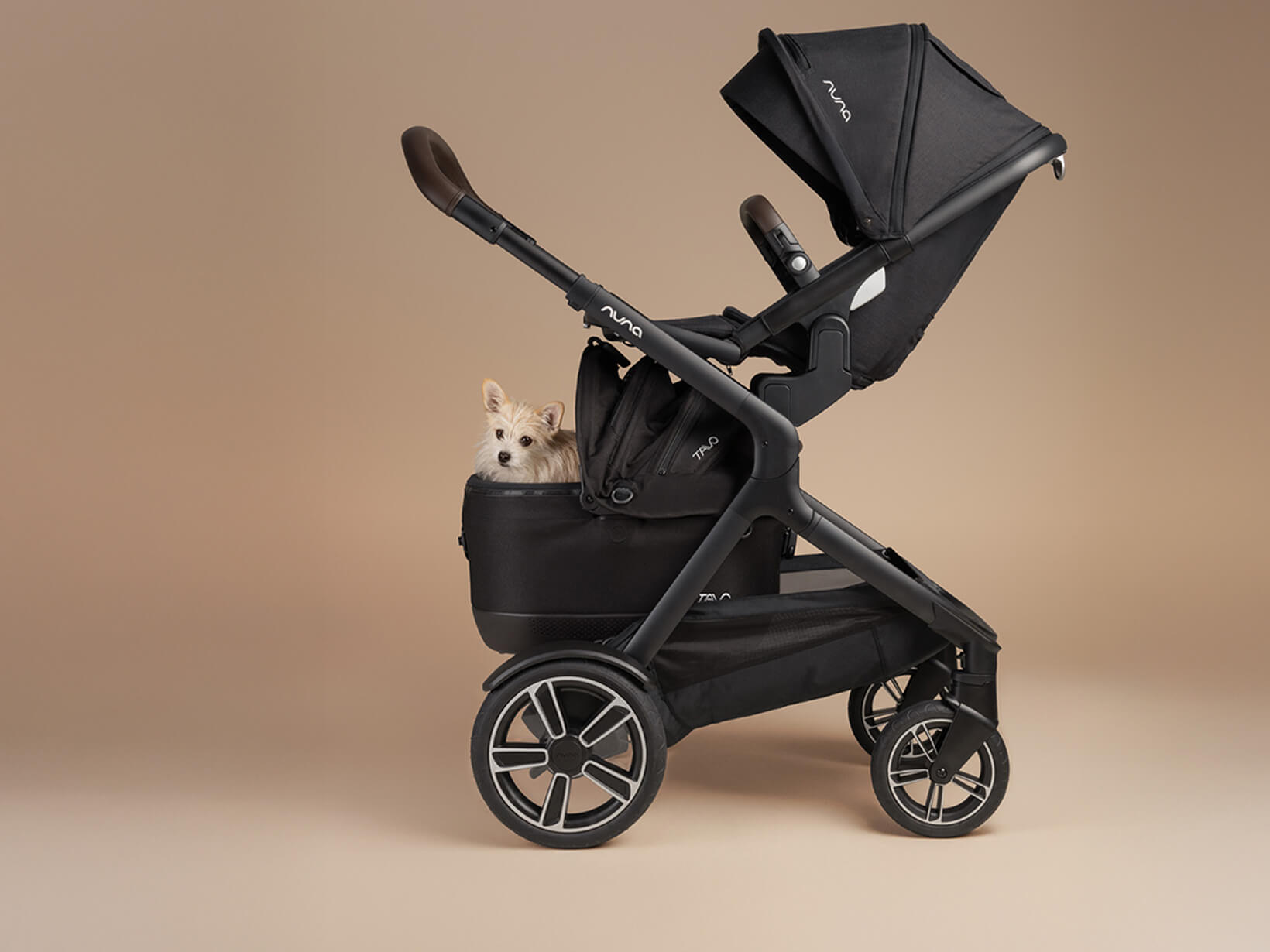 A dog looks out from the TAVO Mave carrier attached to the DEMI next pushchair.