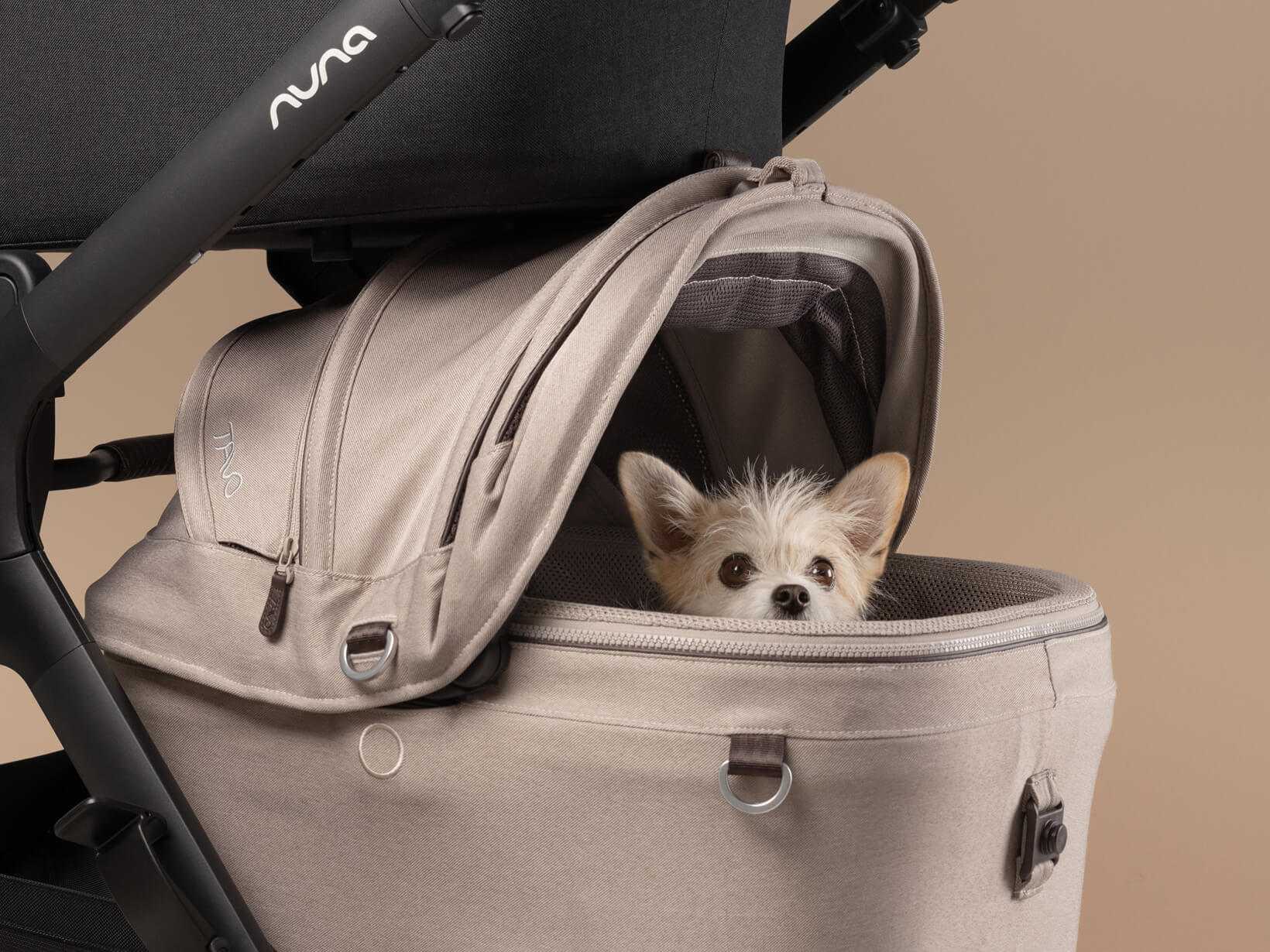 A dog looks out from the TAVO Mave carrier attached to the DEMI next pushchair.